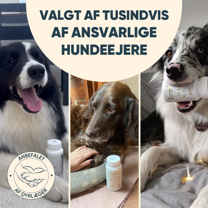 Valgt af tusindvis af hundeejere