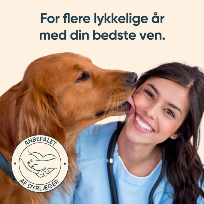 SciPet Tandplejepulver til hunde - 3x60 g - Billede 2