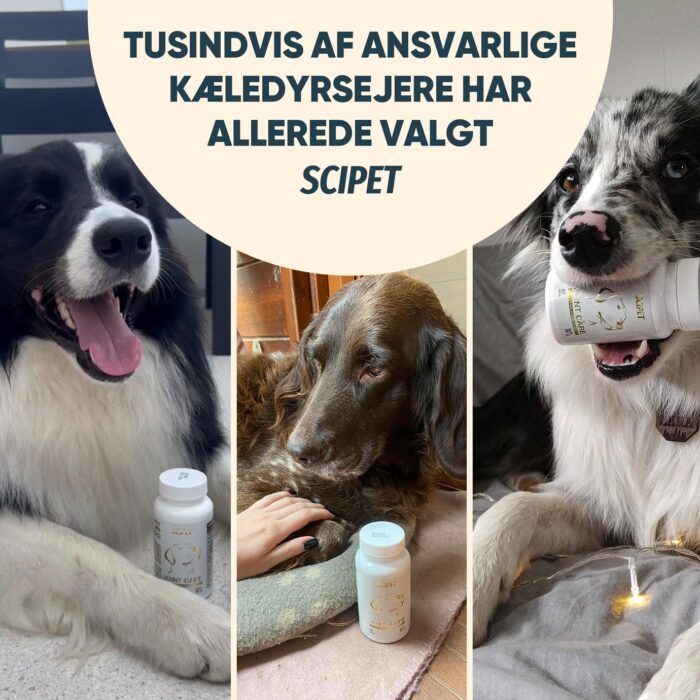 Tusindvis af ansvarlige kæledyrsejere har allerede valgt SciPet.