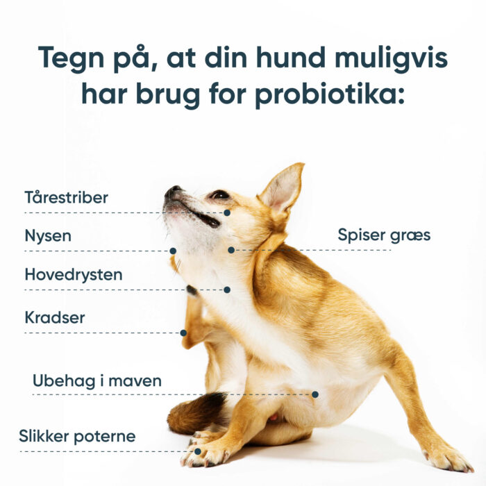 SciPet Probiotika til hunde - 4x60 stk. - Image 2